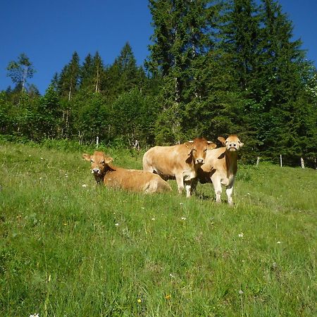 Forsterhof Villa Ramsau am Dachstein Eksteriør billede